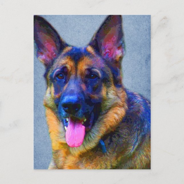 German Shepherd Portrait Postcards (Front)