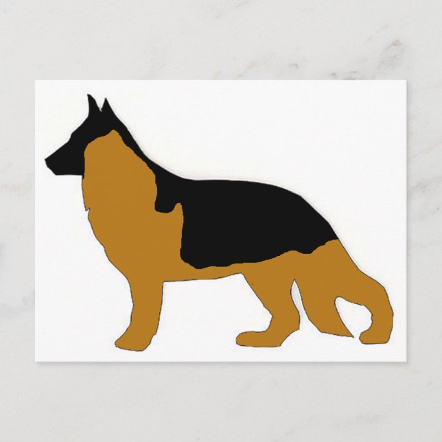 german shepherd postcard (Front)