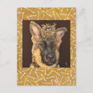 German shepherd postcard