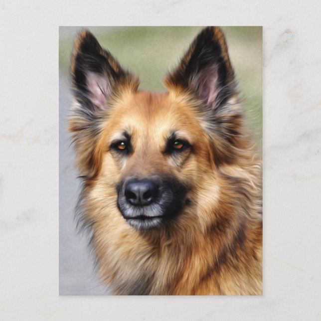 German Shepherd Postcard (Front)