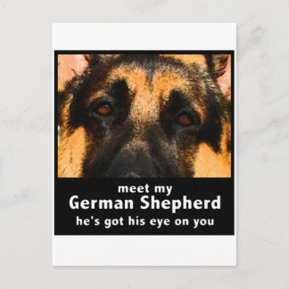 German Shepherd Postcard