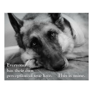 German Shepherd Poster