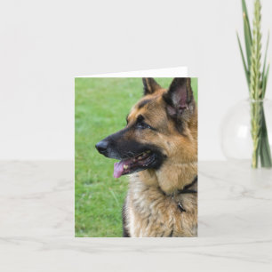 German Shepherd Profile Card