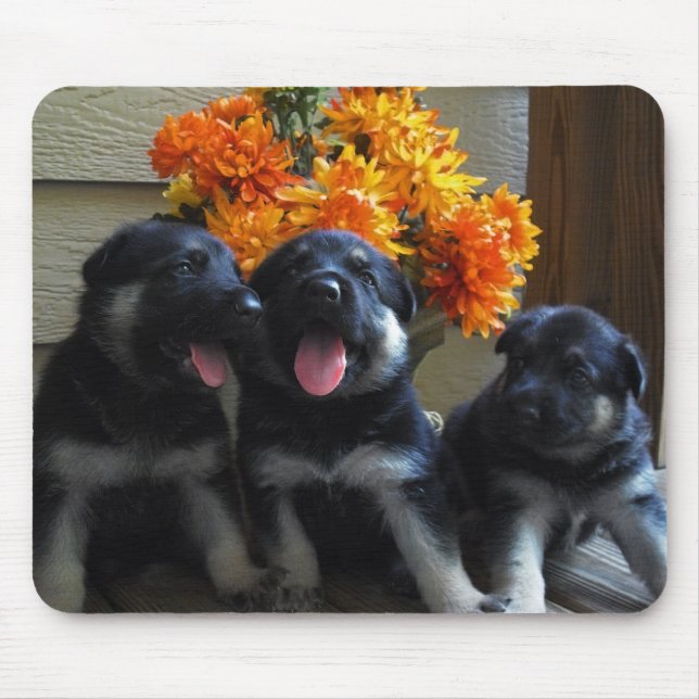 German Shepherd Puppies Mouse Pad (Front)