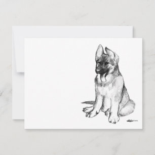 German Shepherd Puppy