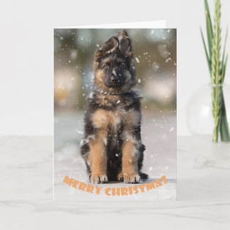 German shepherd puppy at christmas. card