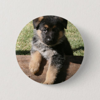 German Shepherd Puppy "Big Max" 6 Cm Round Badge