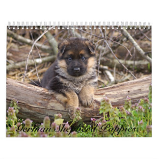 German Shepherd Puppy Calendar 2016