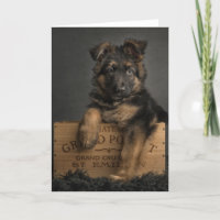 German shepherd puppy card.