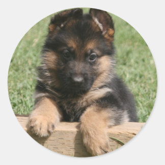 German Shepherd Puppy Classic Round Sticker