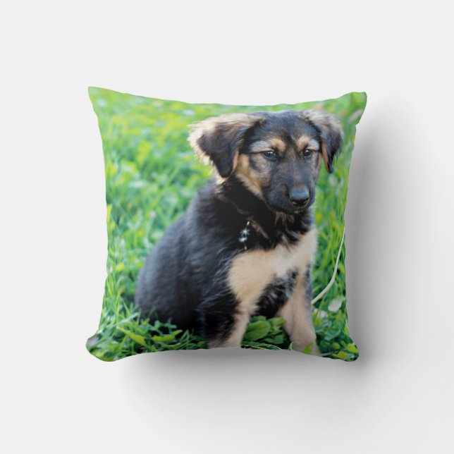 German Shepherd Puppy Cushion (Front)