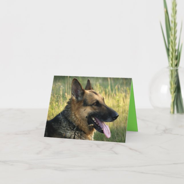 German Shepherd Puppy Dog Blank Note Card (Front)