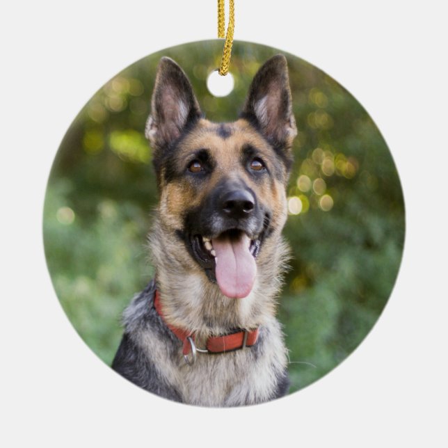 German Shepherd Puppy Dog Ceramic Ornament (Front)