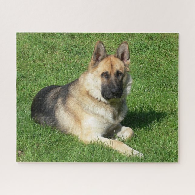 German Shepherd Puppy Dog Jigsaw Puzzle (Horizontal)