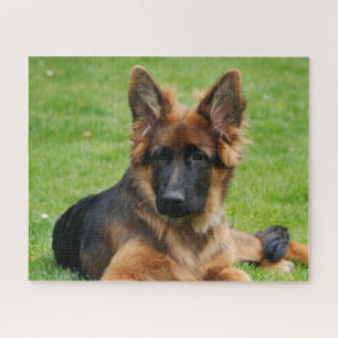 German Shepherd Puppy Dog Jigsaw Puzzle