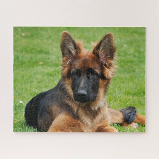 German Shepherd Puppy Dog Jigsaw Puzzle (Horizontal)