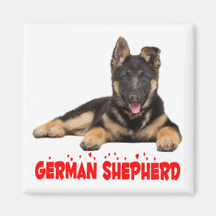German Shepherd Puppy Dog Red Love Hearts Magnet