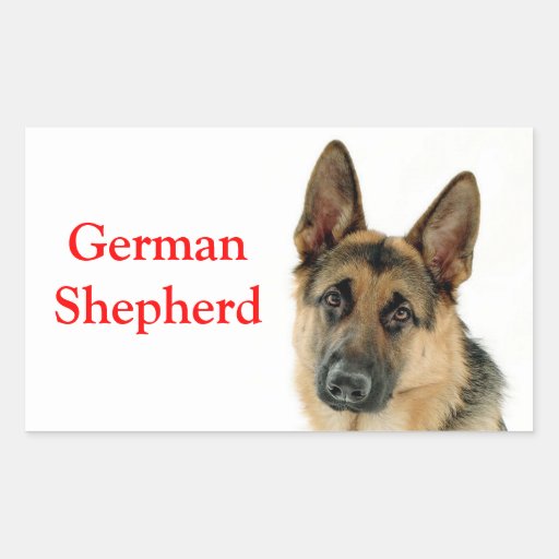 German Shepherd Puppy Dog Stickers / Labels | Zazzle