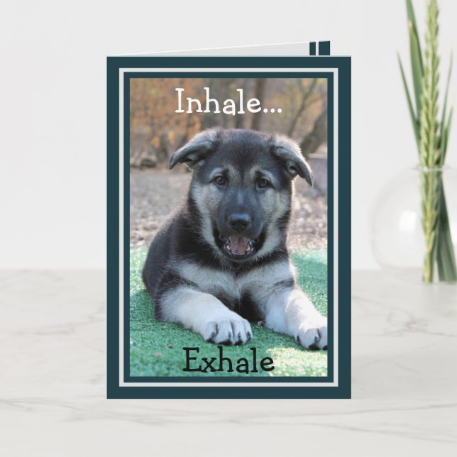 German Shepherd Puppy Funny Birthday Card (Front)