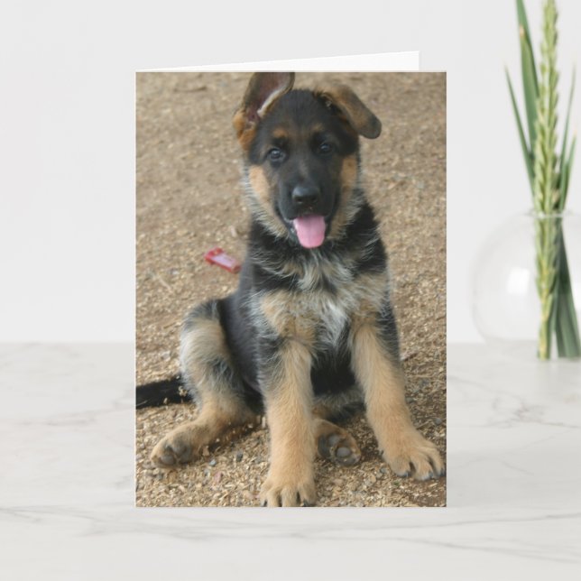 German Shepherd Puppy Greeting Card (Front)