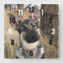 German Shepherd Puppy in a Field Clock