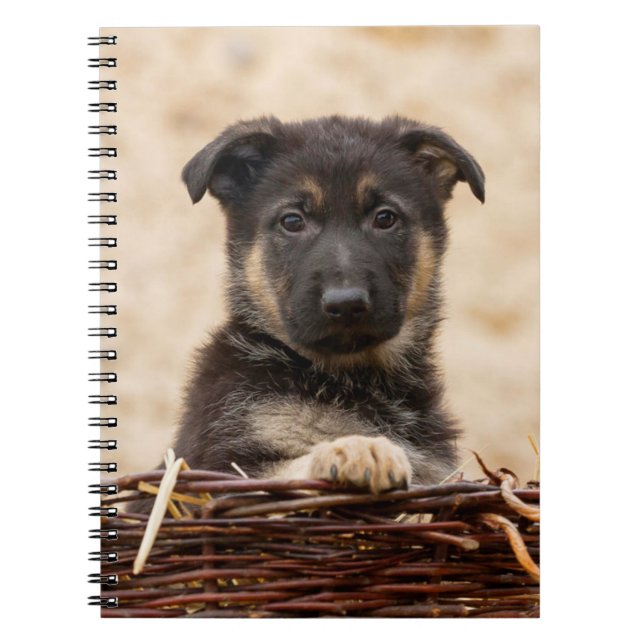 German Shepherd Puppy In Basket Notebook (Front)