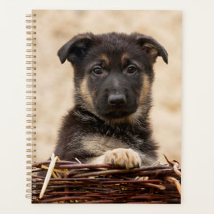 German Shepherd Puppy In Basket Planner