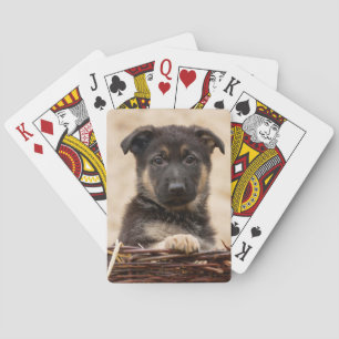 German Shepherd Puppy In Basket Playing Cards