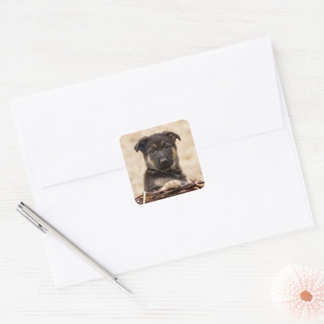 German Shepherd Puppy In Basket Square Sticker (Envelope)