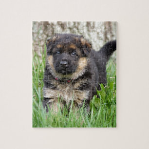 German Shepherd Puppy Jigsaw Puzzle