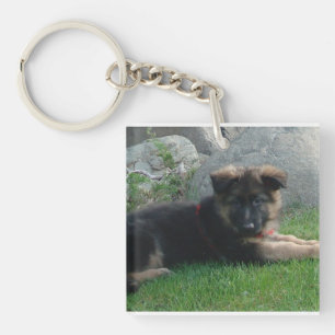 german shepherd puppy laying 2.png key ring