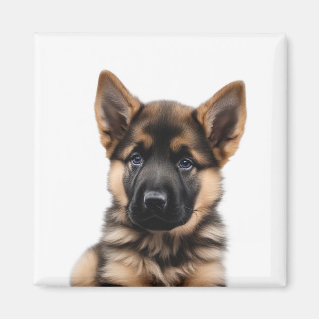 German Shepherd Puppy Magnet (Front)