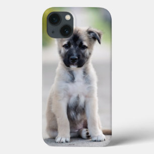 German Shepherd Puppy on Footpath iPhone 13 Case