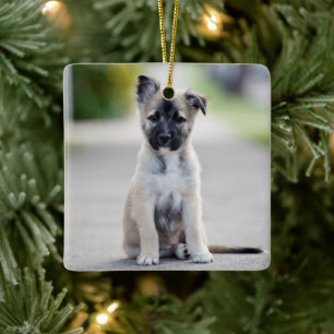 German Shepherd Puppy on Footpath Ceramic Ornament