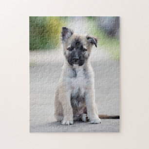 German Shepherd Puppy on Footpath Jigsaw Puzzle