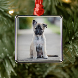 German Shepherd Puppy on Footpath Metal Ornament