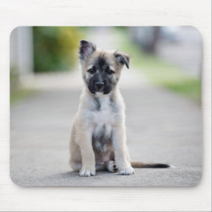 German Shepherd Puppy on Footpath Mouse Pad