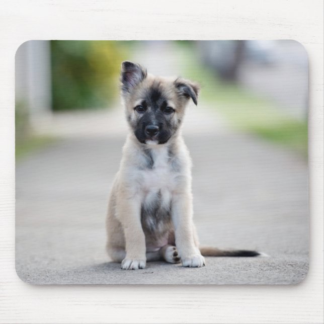 German Shepherd Puppy on Footpath Mouse Pad (Front)