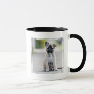 German Shepherd Puppy on Footpath Mug