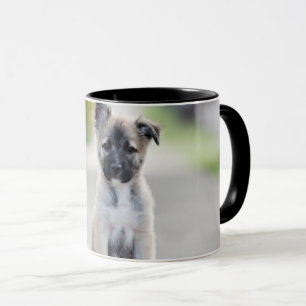 German Shepherd Puppy on Footpath Mug