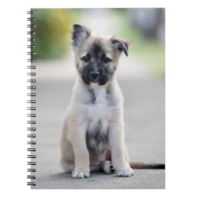 German Shepherd Puppy on Footpath Notebook (Front)