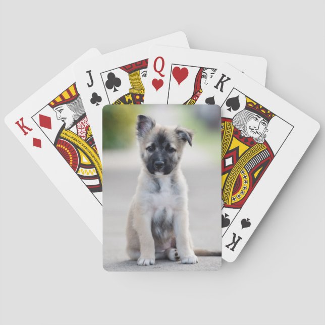 German Shepherd Puppy on Footpath Playing Cards (Back)