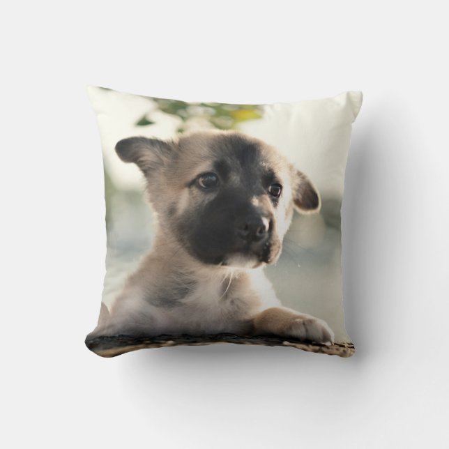 German Shepherd Puppy Over Ledge Cushion (Front)