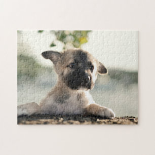 German Shepherd Puppy Over Ledge Jigsaw Puzzle