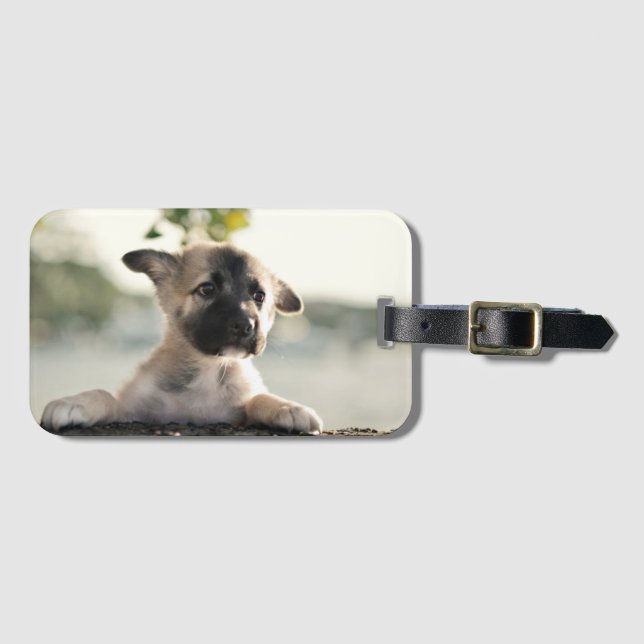 German Shepherd Puppy Over Ledge Luggage Tag (Front Horizontal)
