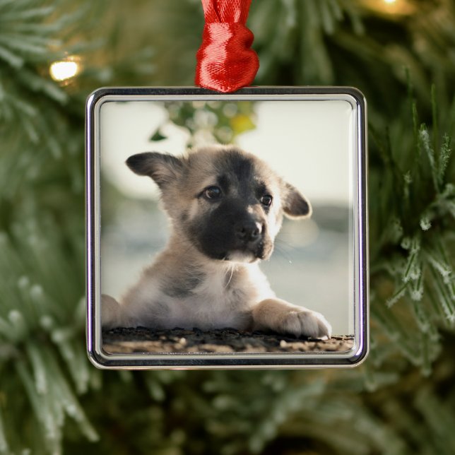German Shepherd Puppy Over Ledge Metal Ornament (Tree)