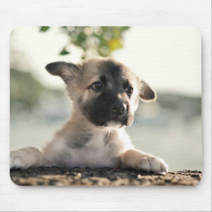 German Shepherd Puppy Over Ledge Mouse Pad