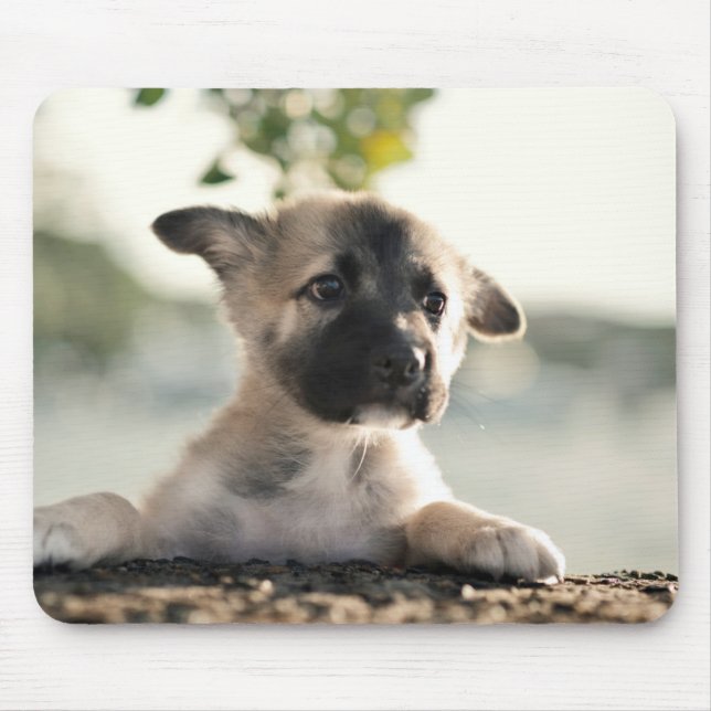 German Shepherd Puppy Over Ledge Mouse Pad (Front)