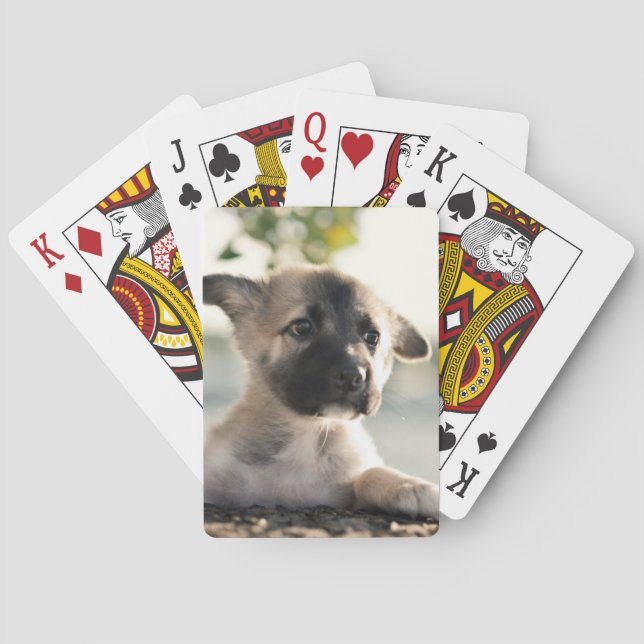 German Shepherd Puppy Over Ledge Playing Cards (Back)