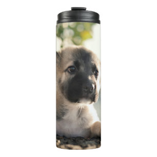 German Shepherd Puppy Over Ledge Thermal Tumbler